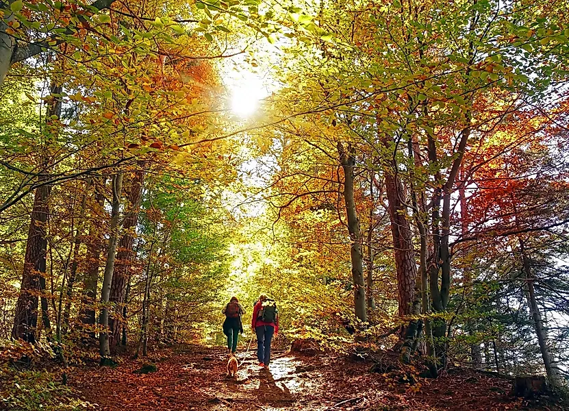 Naturführung