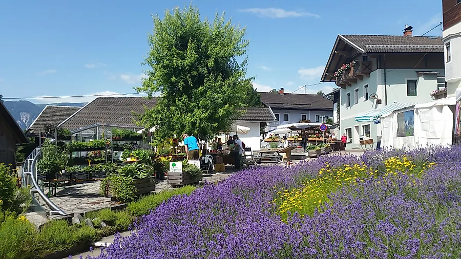 Kräuterfest