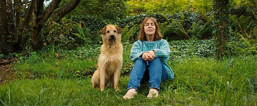 Film: "Rosie & Frank - Ein Wiedersehen auf ..."