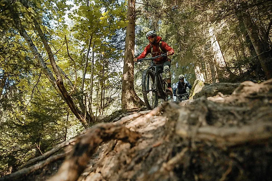 Nock Lake Trails