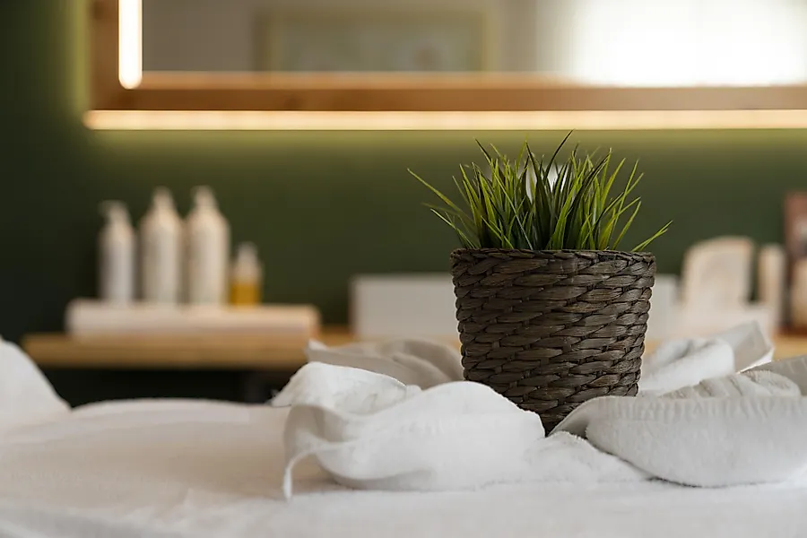 Wellness