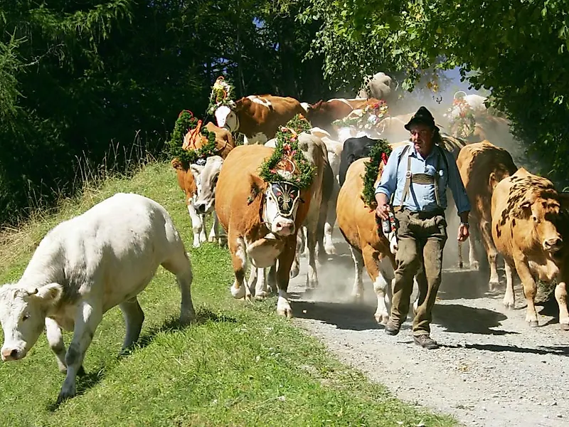 Almabtrieb Bad Kleinkirchheim