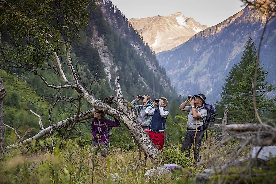 Wildnistour im Seebachtal