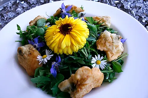 Wildkräuterwochen