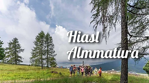 almmatura
