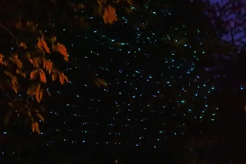 Lichter Lichtklang-Poesie