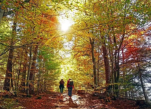 Naturführung