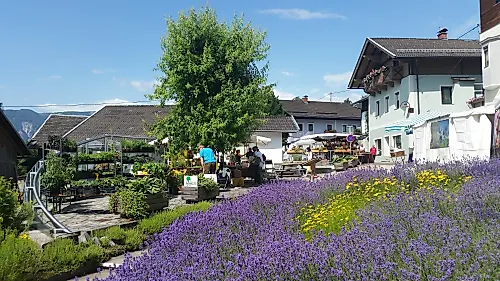 Kräuterfest