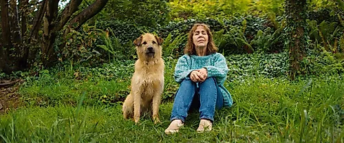 Film: "Rosie & Frank - Ein Wiedersehen auf ..."