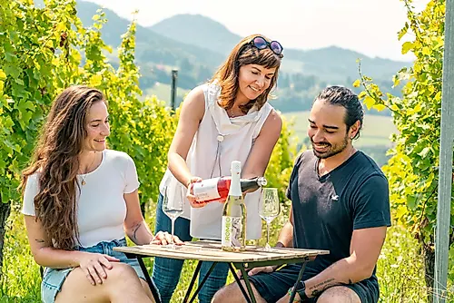 Weinverkostung mit Kärntner Jause Weingut Vinum Vi