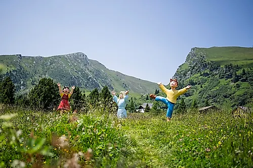 Heidi Alm