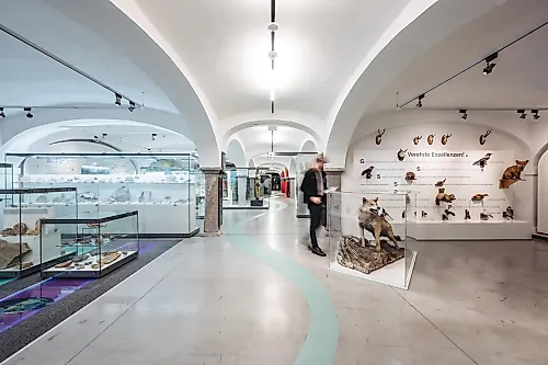 Einblick ins Museum
